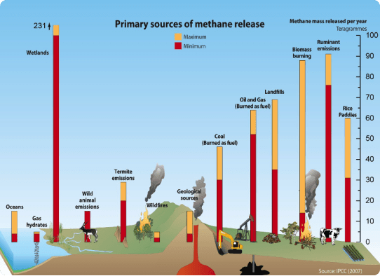 Primary Source of Mathane Release